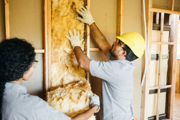 Best Insulation Replacement  in Romoland, CA